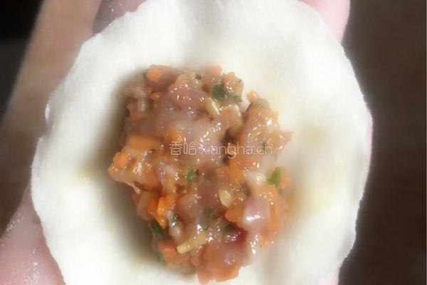 羊肉胡萝卜水饺的做法图解12