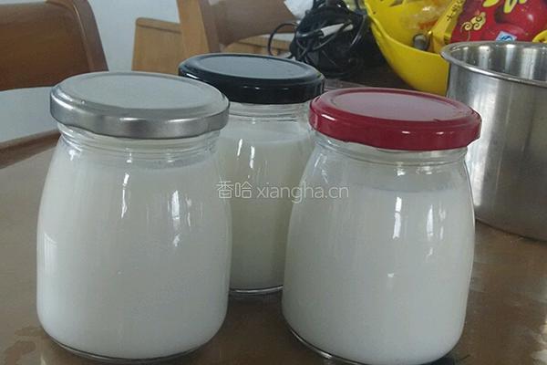 原味酸奶的做法图解4