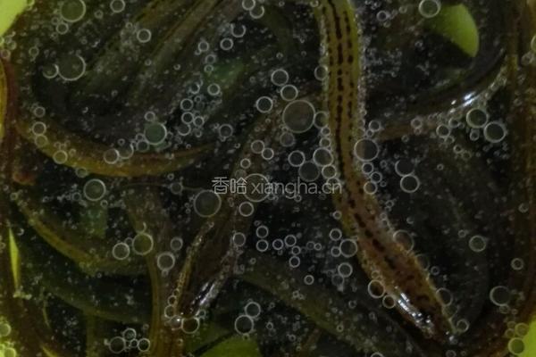 盘膳的做法图解1