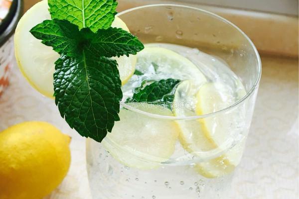 莫吉托mojito的做法图解4