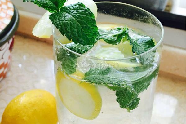莫吉托mojito的做法图解5