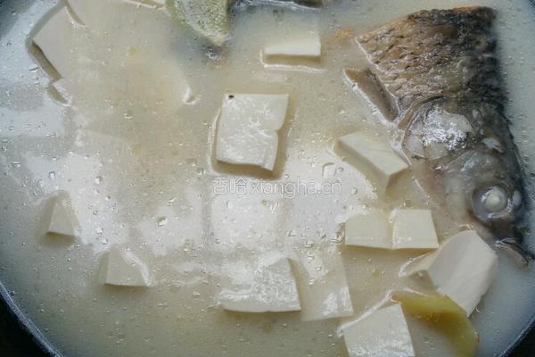 鱼头豆腐汤的做法图解8