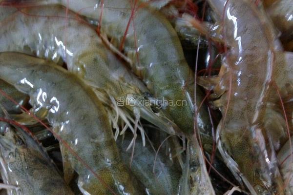 蚝油焖虾的做法图解1