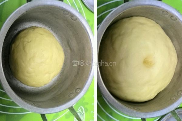 蔓越莓土司面包的做法图解19