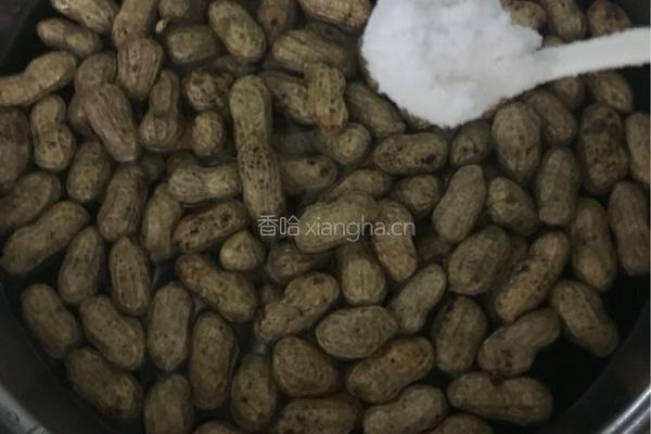 盐水煮花生的做法图解3