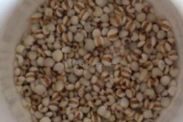 排骨木瓜薏米汤的做法图解3