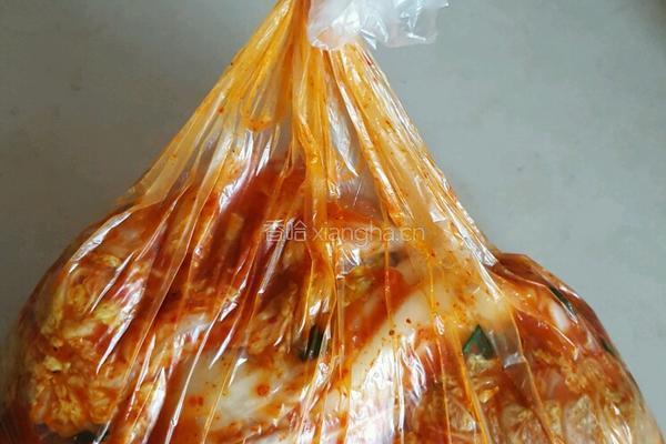腌辣白菜的做法图解7