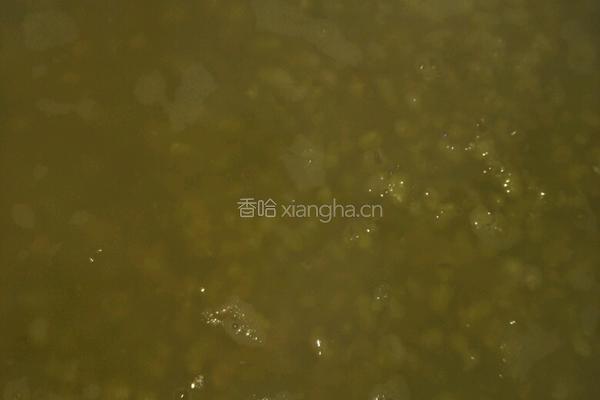 绿豆棒冰的做法图解5