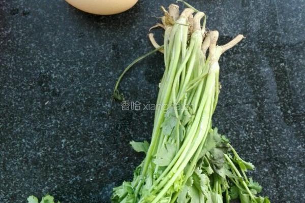 香菜鸡蛋～家常菜的做法图解1