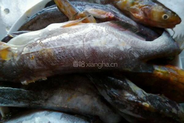 油炸黄辣丁的做法图解2