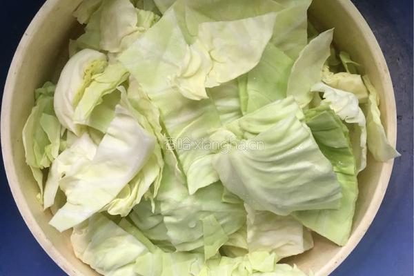 剁椒卷心菜的做法图解2