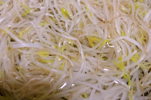 绿豆芽拌凉皮的做法图解3