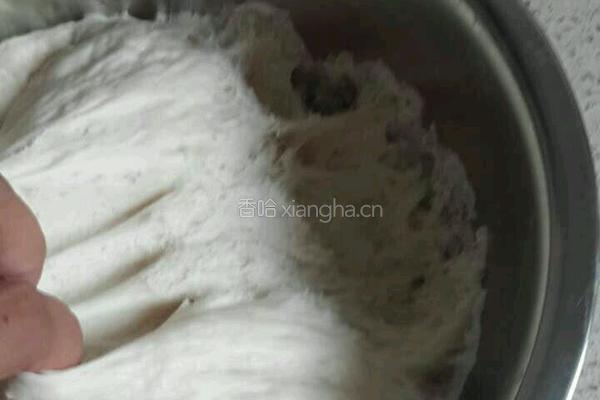 肉包子的做法图解7
