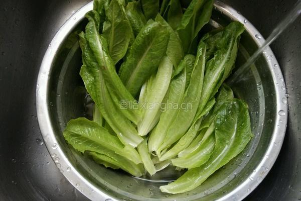 麻酱生菜的做法图解2