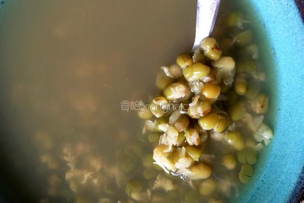 解暑绿豆冰糖水的做法图解5