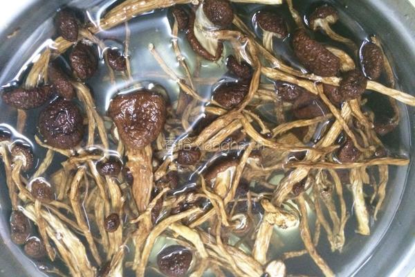 茶树菇炖鸡汤的做法图解2