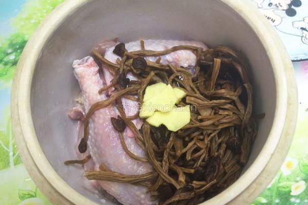 茶树菇炖鸡汤的做法图解4