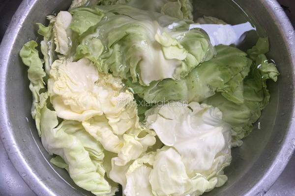手撕卷心菜的做法图解2
