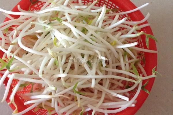 凉拌绿豆芽的做法图解1