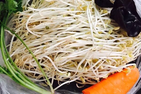 凉拌绿豆芽的做法图解1