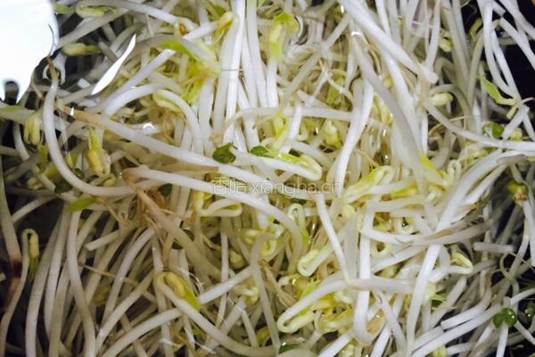 凉拌绿豆芽的做法图解3