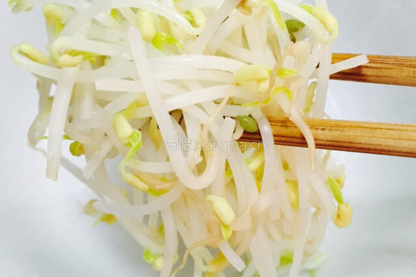 凉拌绿豆芽的做法图解5