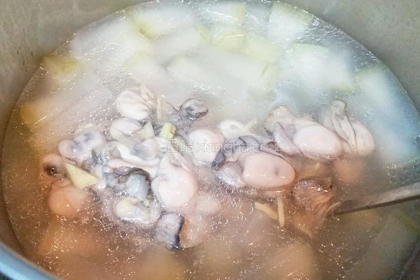 牡蛎瘦肉冬瓜汤的做法图解8