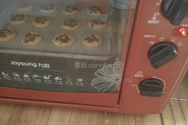 巧克力豆饼干的做法图解12