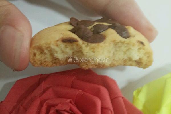 巧克力豆饼干的做法图解15