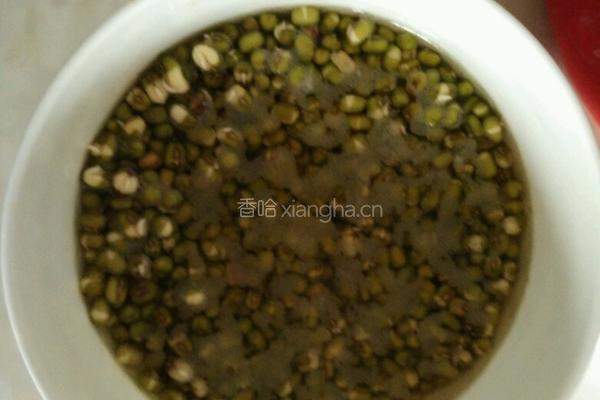 发绿豆芽的做法图解1