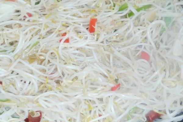 炝炒绿豆芽的做法图解3