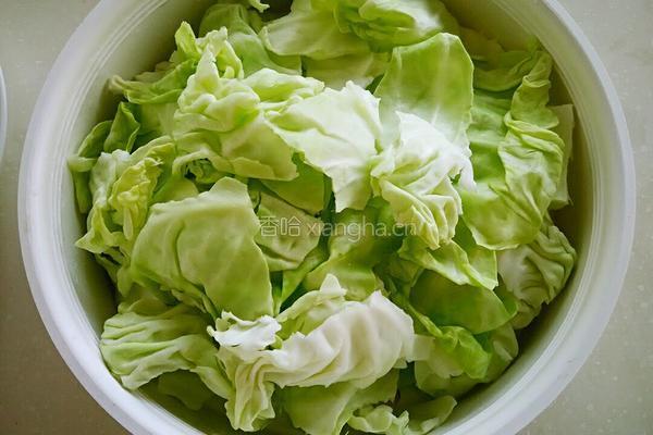 香辣手撕包菜的做法图解2