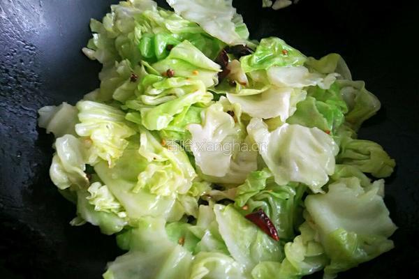 香辣手撕包菜的做法图解8