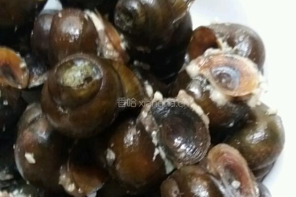 田螺塞肉的做法图解4
