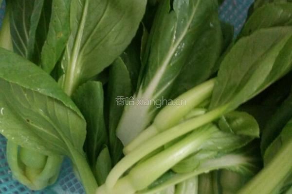 红烧肉浇小油菜的做法图解1