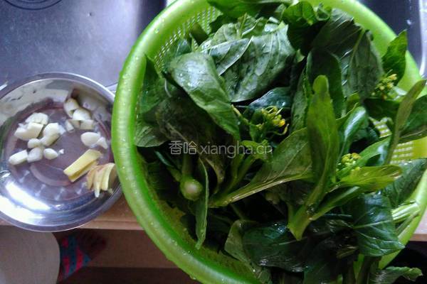 清炒菜心的做法图解1