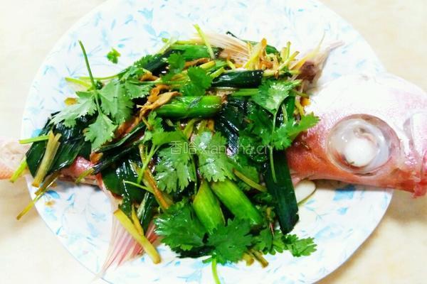 清蒸鲢鱼的做法图解4