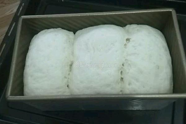 中种牛奶土司的做法图解11