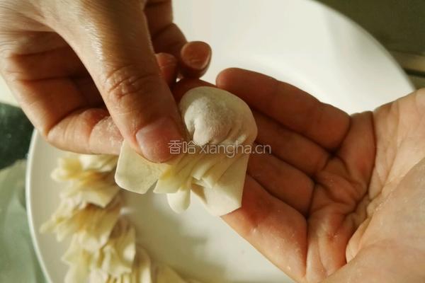 手包云吞的做法图解11
