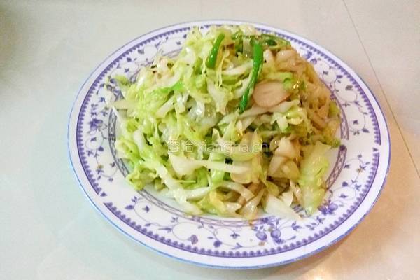  清炒卷心菜的做法图解7