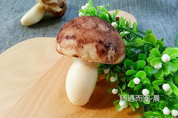 蘑菇奶黄包的做法图解14