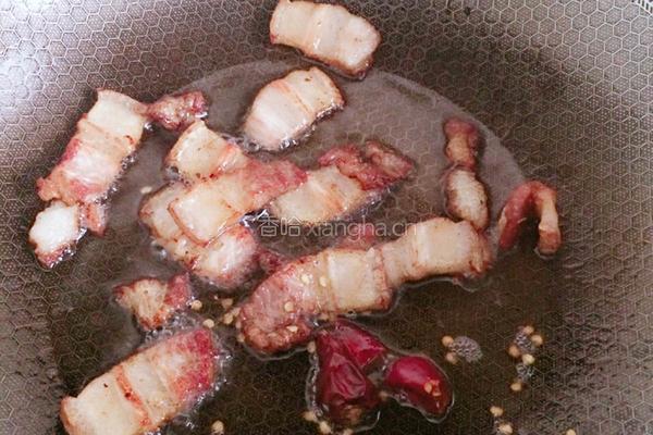 卷心菜炒五花肉的做法图解3