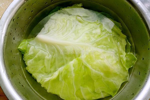 双丝包菜卷的做法图解3