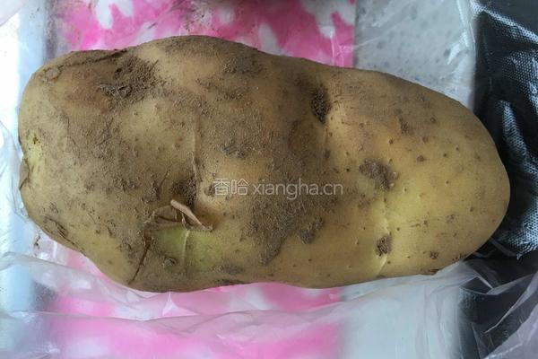 酸辣土豆条的做法图解1