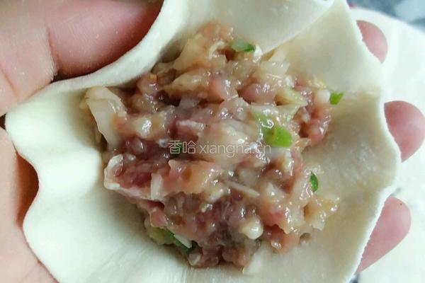 白萝卜猪肉馅生煎包的做法图解13