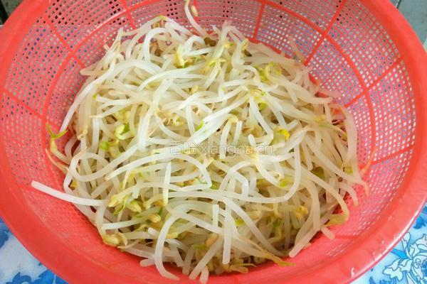 凉拌绿豆芽的做法图解2