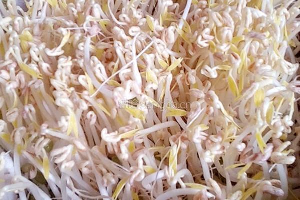 绿豆芽炒鳝鱼丝的做法图解1