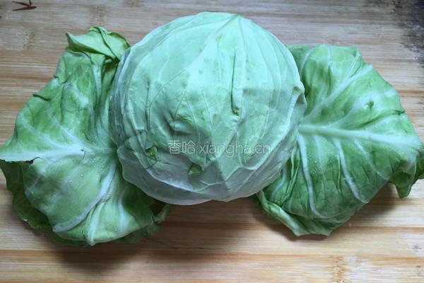 蚝油手撕卷心菜的做法图解1