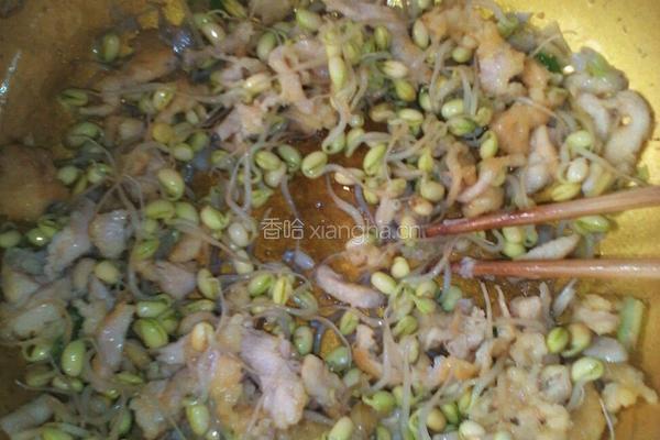 黄豆芽韮菜炒鸡丝的做法图解4