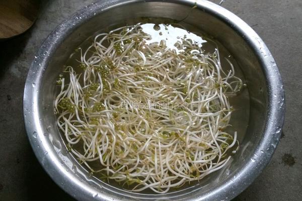 豆芽炒粉丝的做法图解1